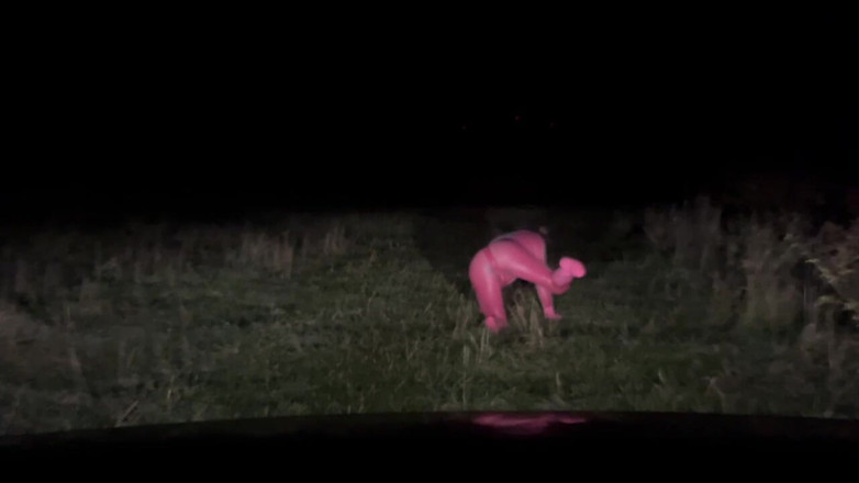 PervyLara: Pembe lateks evcil hayvan açık havada kadın kılıklı