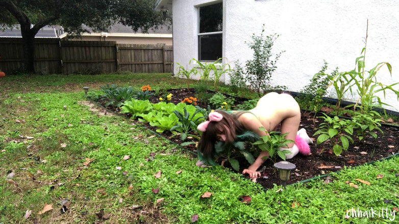 kactus kutie: Kitty Kums w Jarmużu