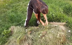 I Jerked off My Neighbor's Pussy in the Village, and She Licked It for Me - Lesbian-illusion