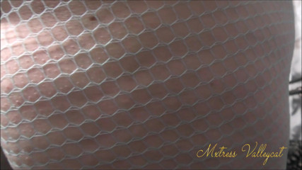 Mxtress Valleycat: 私のぐらぐらしたお尻を崇拝する