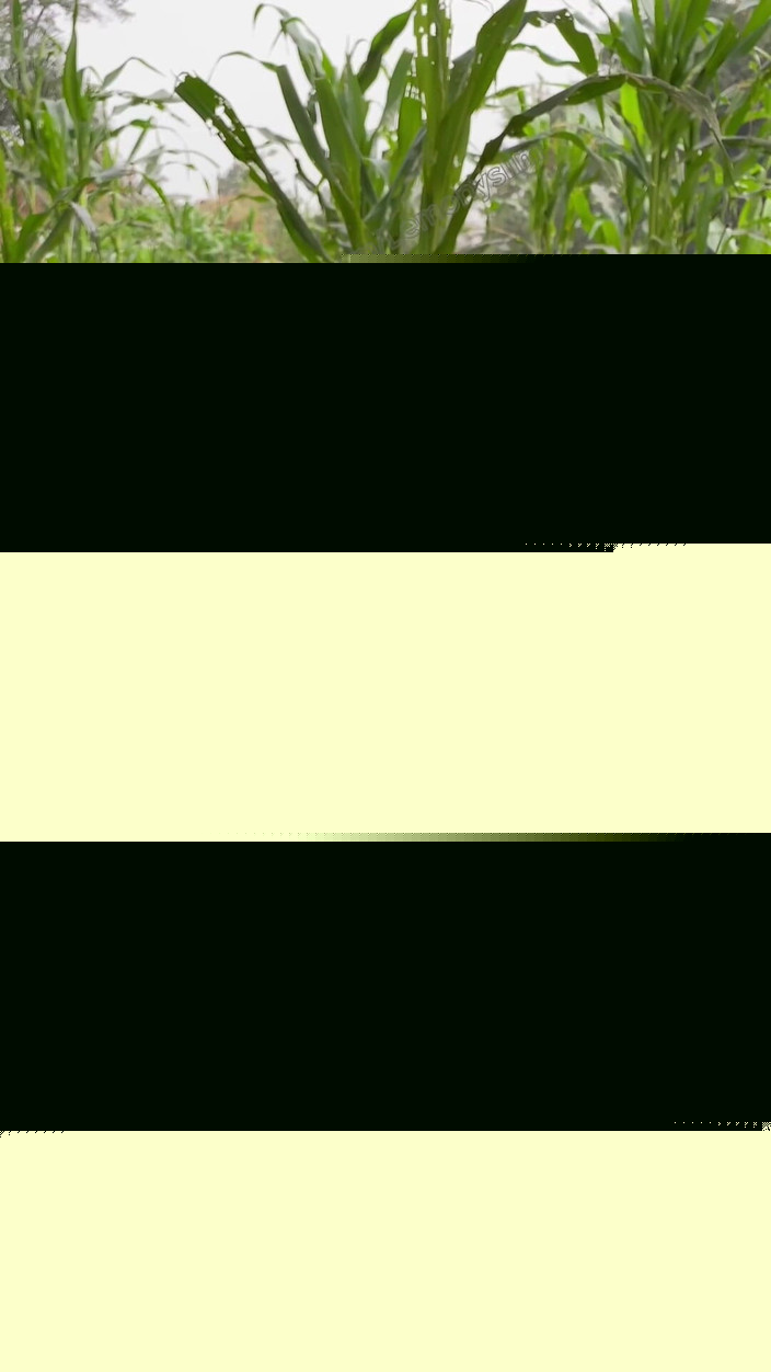 Perfectdime: Kundička tekoucí jako řeka