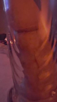 Buzz Plays with 12.in Cock Pump