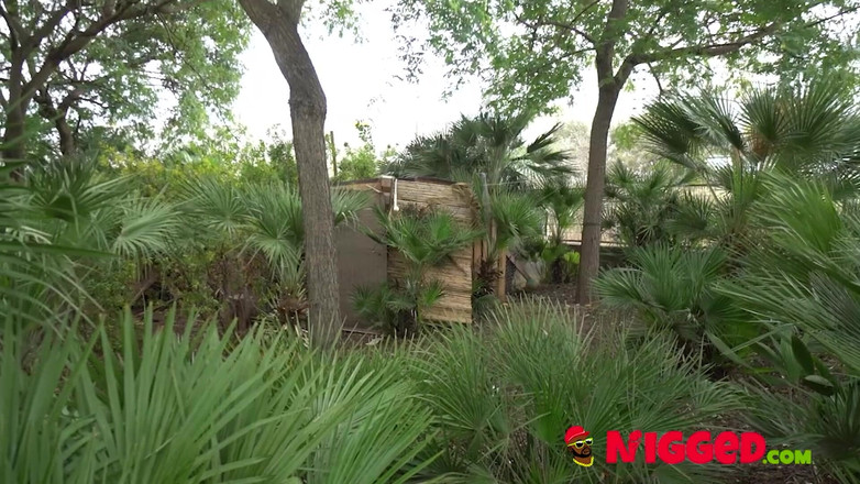 FAKings Black Fix: Mulher Inocente Concorda Em Ser Fodida Por Dois Homens Negros...