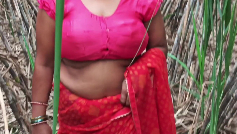 Desistepsis: Minha madrasta e eu sugarcane field me desi village vídeo...