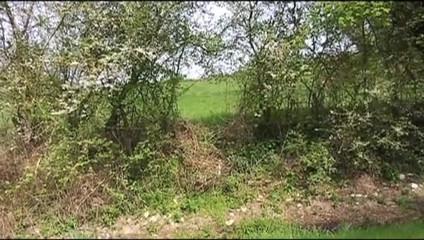 European Classics: Curvă matură dolofană umplută cu spermă în gură după ce a...