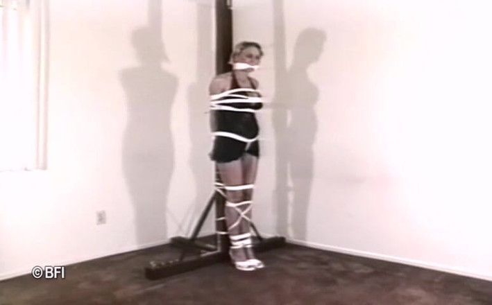 Art of Bondage: Fantasi perhambaan 7 - DVD
