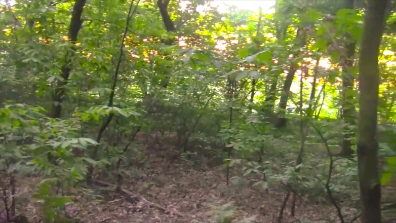 BELLOeBIOTTO: Belle et longue éjaculation, torse nu, dans une forêt publique