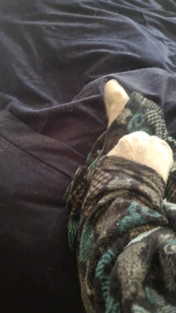Fall Time Fuzzy Comfort