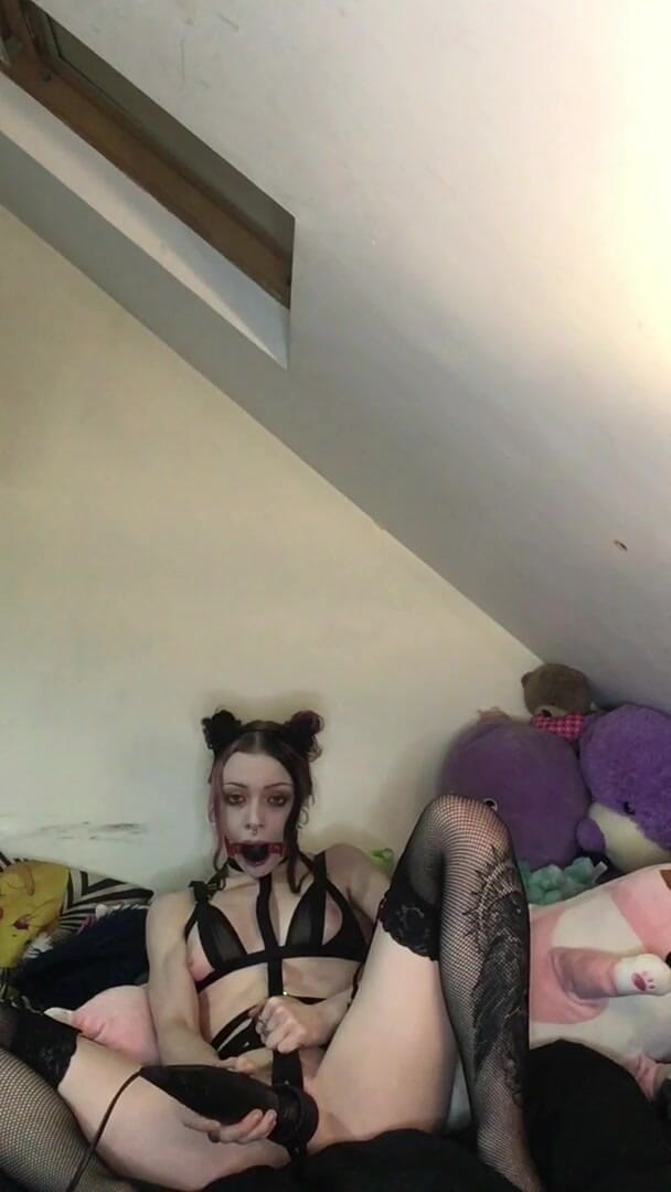 Rokkyhorrorx: Kitty arrapata imbavagliata ha cercato di stare zitto