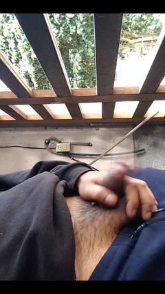 AlexAlejandro13: दिन से दिन की शुरुआत