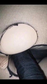 Big Black Cock in Black Pussy