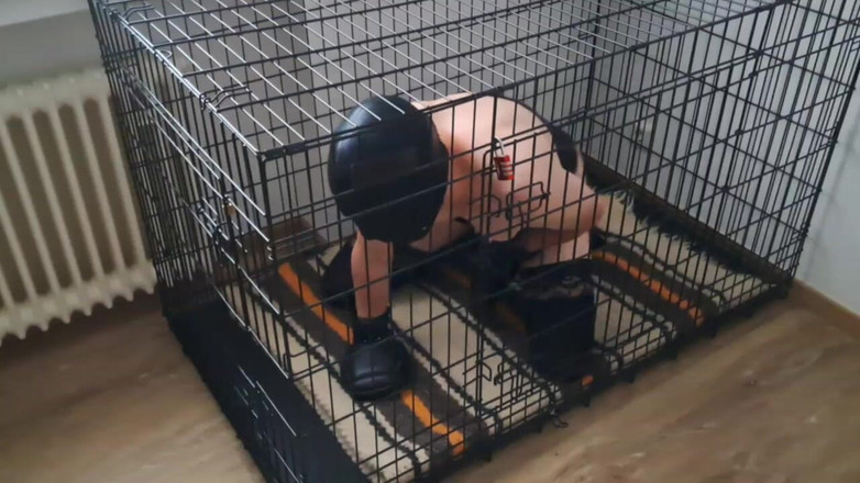 2GirlTs1Cock: Kyskhetsretasen - Mistress skrattar när den slutna sissy inte kan tillfredsställa...