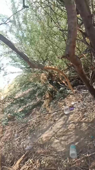 Desi village sex: Hintli teyze domaltarak seks yapıyor