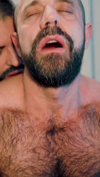 Addomesticare l'orso