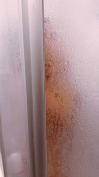 Private Moments in the Shower