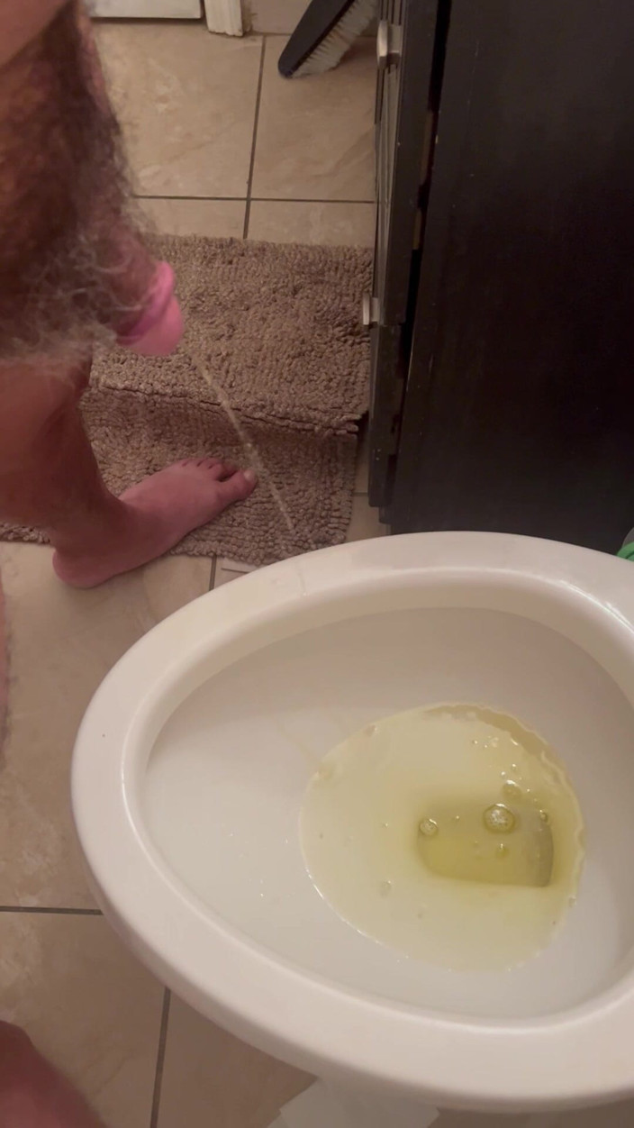 ragil01: Pissen zu hause auf der toilette