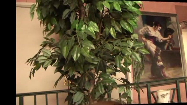 Cryptostudios: Fucking Hot Abby Using Fake Dick So Hard