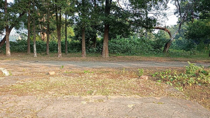 LinearOrnament35: セックスステップ ジョニー なし ステップ あなたのパニック