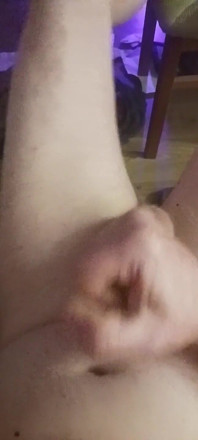 Wollt Ich