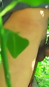 Sex Sex Jungle