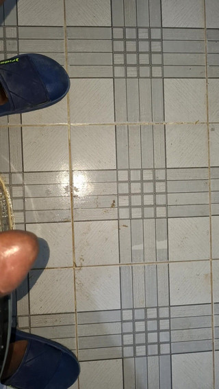 Bumba: La zorra está mareada de saltar a esta BBC, qué...