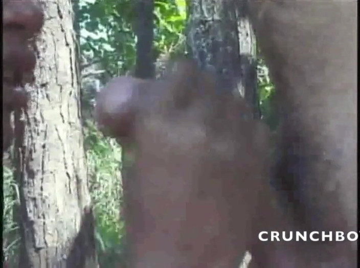 Shemale videos: Straigth Laitno se fait baiser par son papa, trans mature