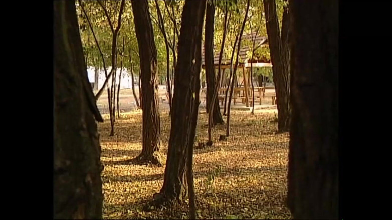 Deutschland porn: Encuentro al aire libre