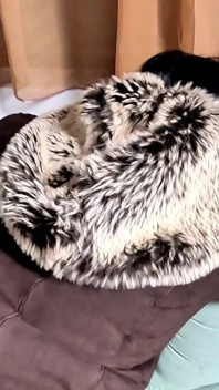 Magic Whore Transformation in Shearling e UGGs. Xixi, garganta profunda, porra na pele e esguichando