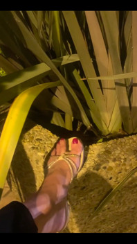 My Feet