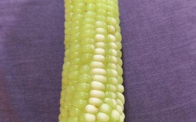 HerculesnVENUS: День труда Bash накормили толстую шлюху Corn, теперь она пердит