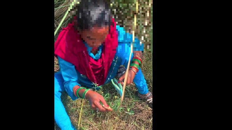 fullyloadedvid: जंगल में देसी रंडी सेक्स