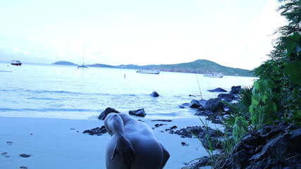 Morning Waves & Muscle Craves: Oceanfront Strip Tease