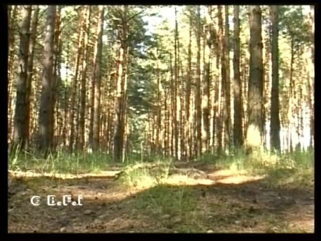 Just Boys: Boys4menゲイウッド