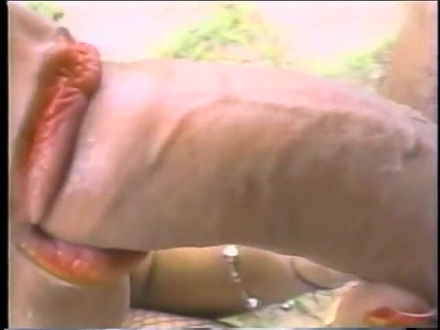 Hot TRANSformations: Tranny slut gives head while getting her cock deep throated...