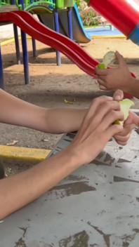 Callejeras Recogidas Sexo Culo Y Tetas Gratis Hijueputa