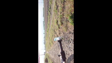 Carmen_Nylonjunge: 自転車に乗るための黒いタイツ