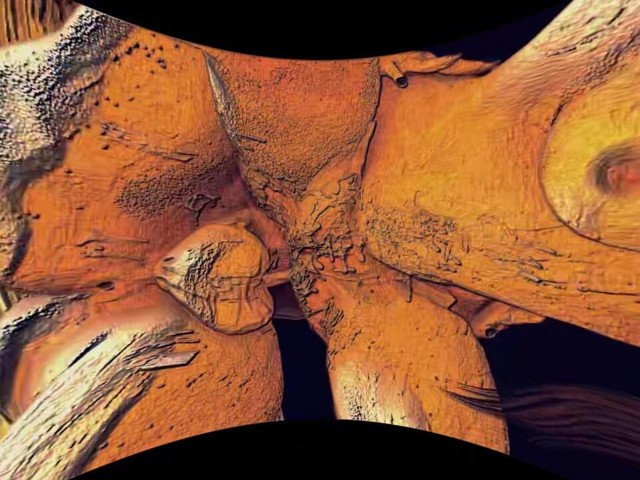 Funy Editions 29 (Futanari VR)
