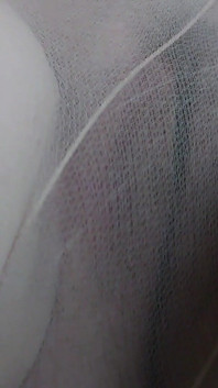 Assessment in Fine Tights