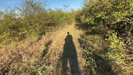BeautyFruity: Il primo appuntamento è finito con una scopata in natura con...