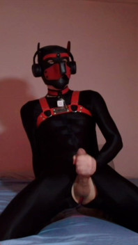 Remote Controlled Puppy Whimpers While Jerking off