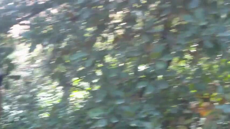 Amadeus studio: Während der Fahrt treffen wir auf einen UPS-Lieferanten