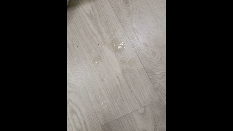 nickyjem: 高剂量跨性别女孩自慰并射精（镜头从下方抬起）