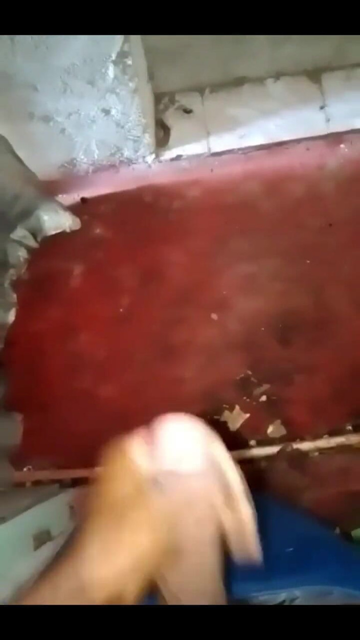 Haydenbbc: 867486332044197888.mp4