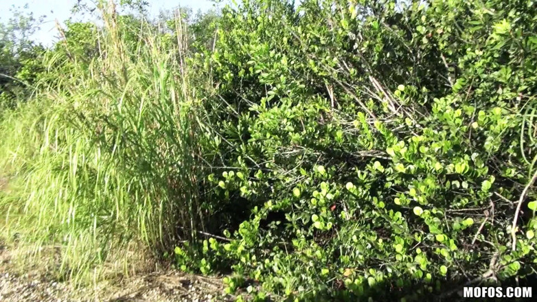 Stranded Teens: Osierocone nastolatka - szef drogi z osieroconej latynoski Nadia Capri