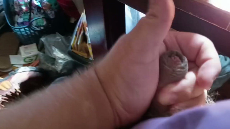 Alessa Doll Lover: Cumming in the Daylight