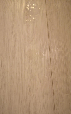 Amadeus: Nemůžu to vydržet