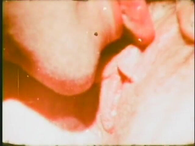 Vintage Usa: Vintage manželka přišla uspokojit svého muže, který honí ptáka - (Video nemá...