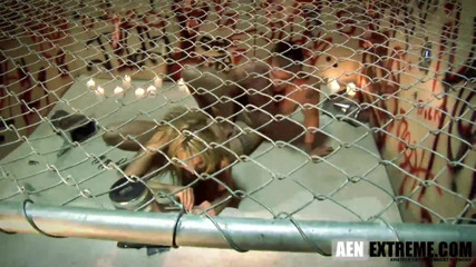 AEN Extreme: Kelly Wells Sucking Cum Out of Her Own Pussy to...