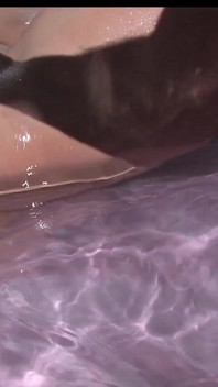 Hot and Wild Fucking Session Unleashed