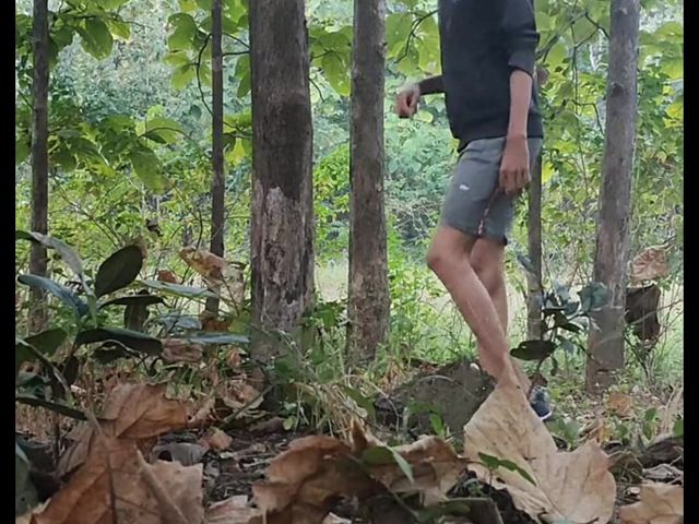 Nude in Forest (Tani)